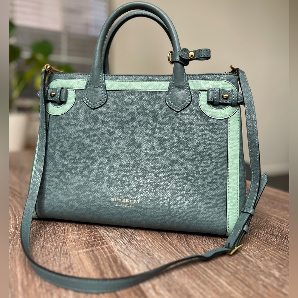 The Banner Burberry Handbags- Detachable crossbody - Picture 1 of 12